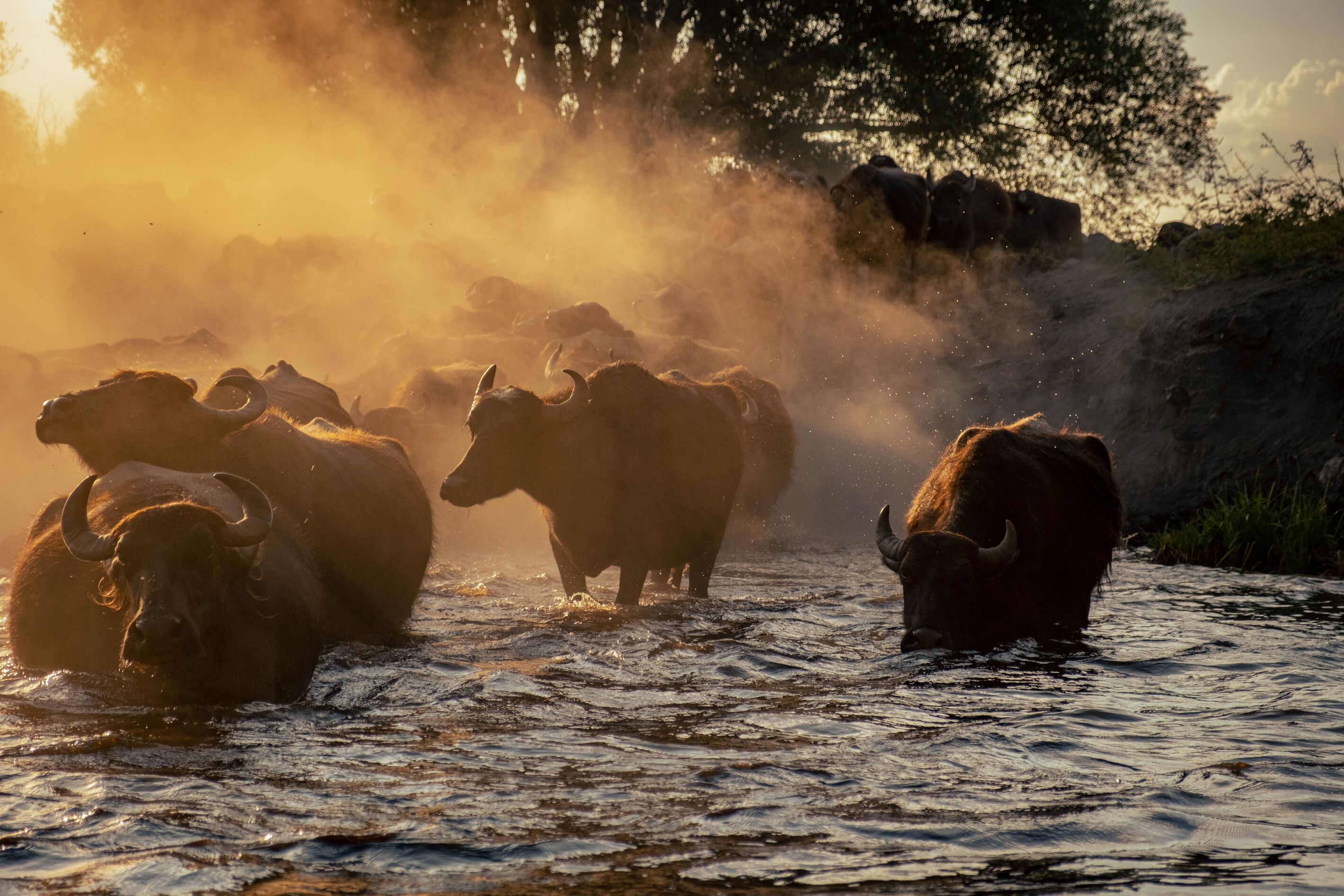 Buffalo Springs & Mt Ololokwe: The Northern Kenya Combo