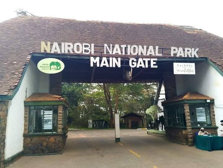 Sublime Safari: The Urban Wilderness of Nairobi National Park