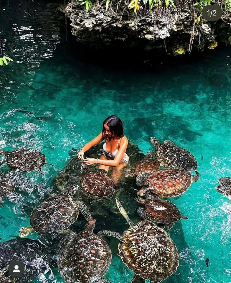 Zanzibar Travel Guide: Beaches, Culture & Resorts