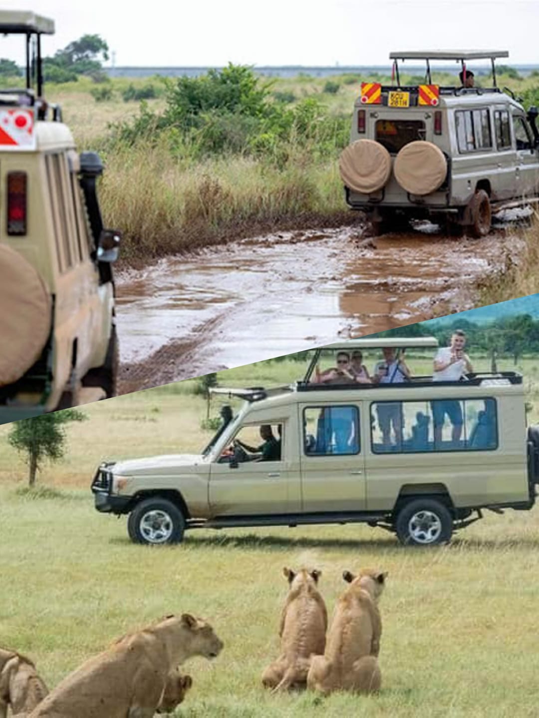 Should You Go on Safari During Dry or Wet Season?